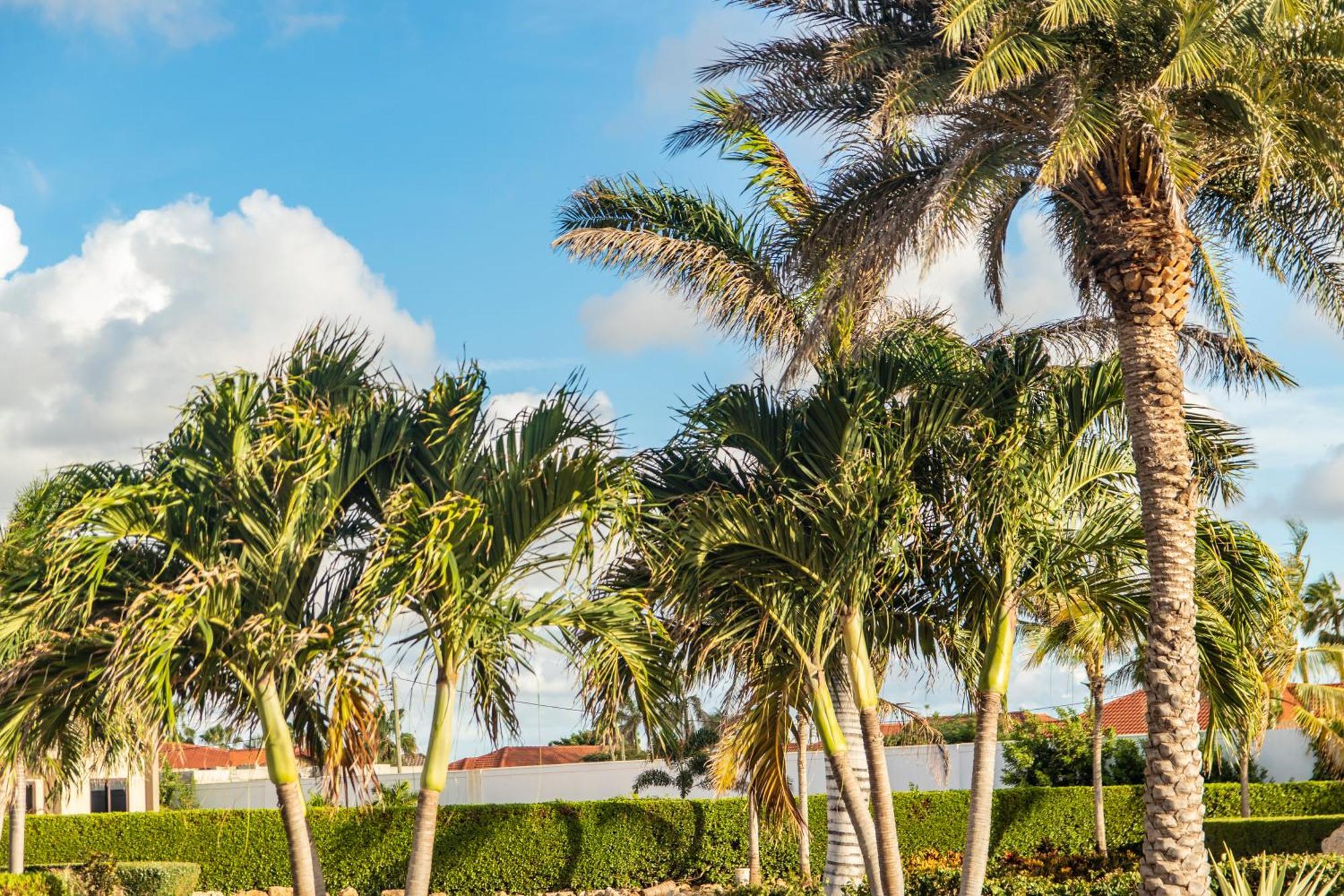 Bocobay Gold Coast Resort Palm Beach Extérieur photo